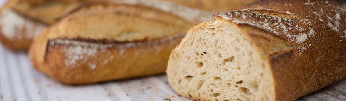 Pain croute fine B